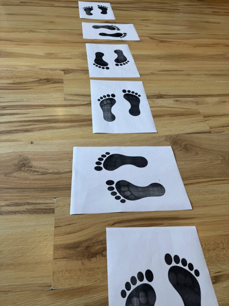 Szkolenia dla nauczycieli